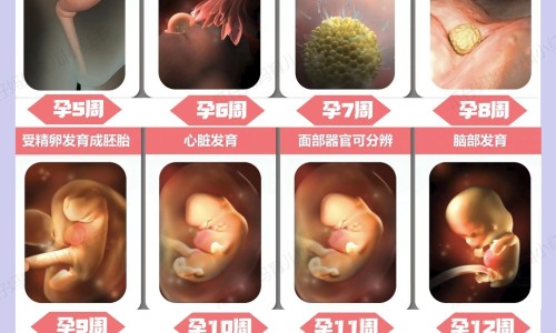 桂圆鸡蛋红糖水功效-专业桂圆鸡蛋红糖水功效与禁忌平台-桂圆鸡蛋红糖水功效与禁忌
