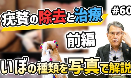 桂圆红枣红糖煮鸡蛋的功效与作用-桂圆鸡蛋红糖水功效-专业桂圆鸡蛋红糖水功效与禁忌平台-桂圆鸡蛋红糖水功效与禁忌